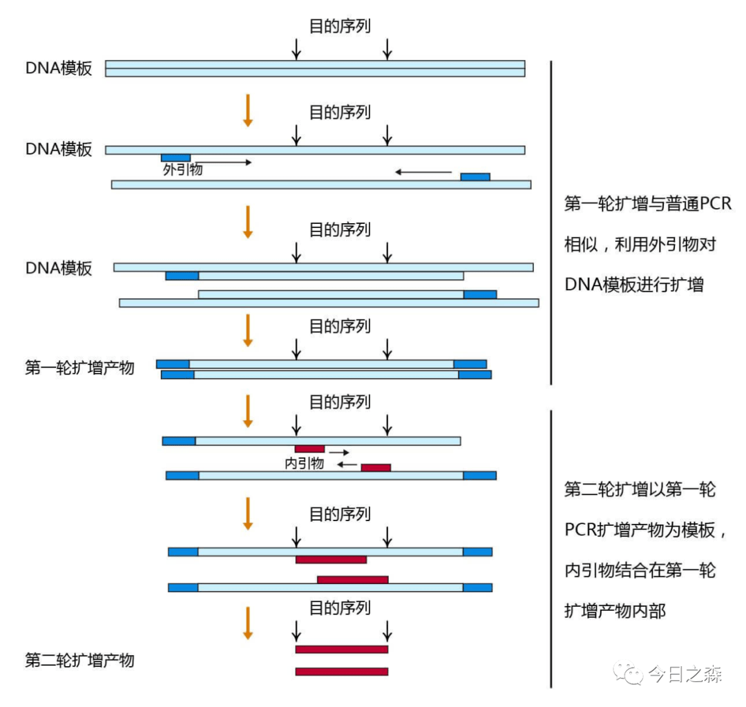 pcr扩增仪分类