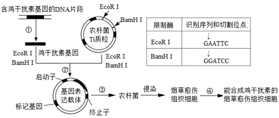 pcr扩增设备