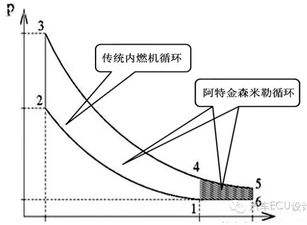 食用菌和真菌有什么区别