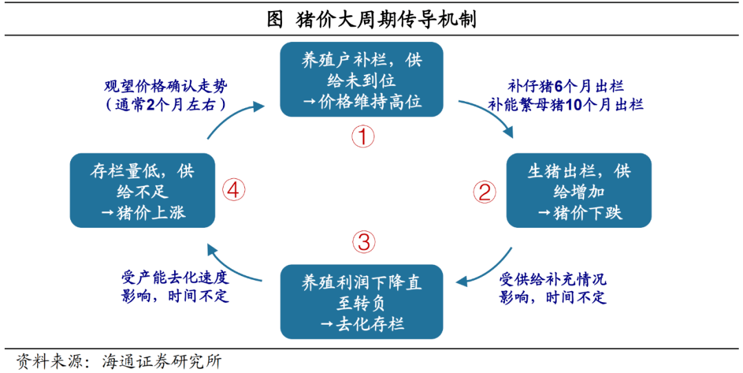 踢皮机价格