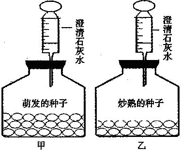 蜡笔原理