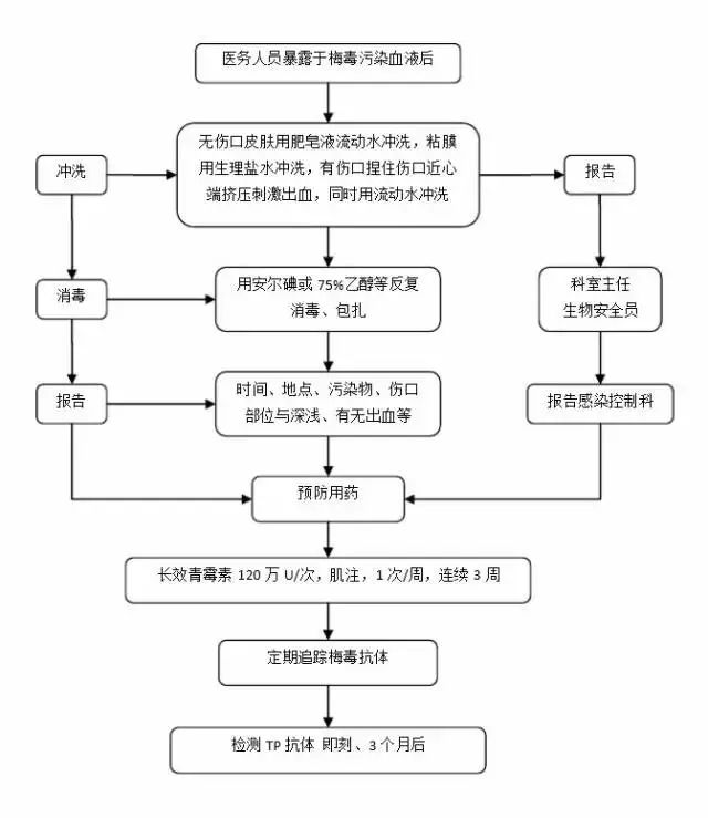 印前系统的工作流程有哪些